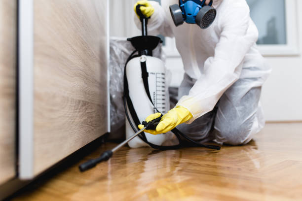 Trusted Wallis, TX Pest Control Experts