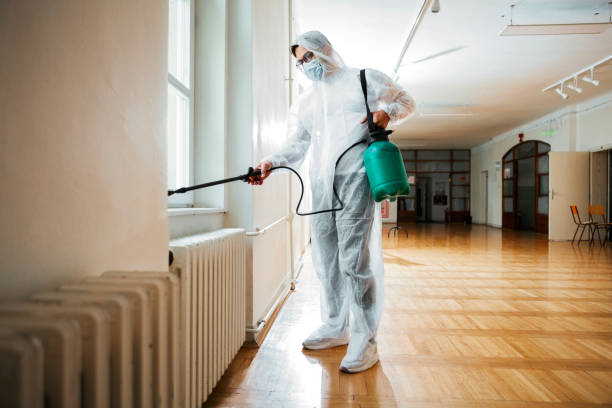 Best Local Pest Control Services  in Wallis, TX