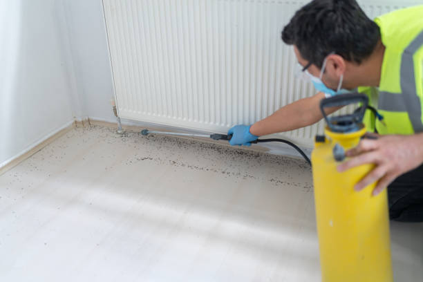 Best Commercial Pest Control Services  in Wallis, TX